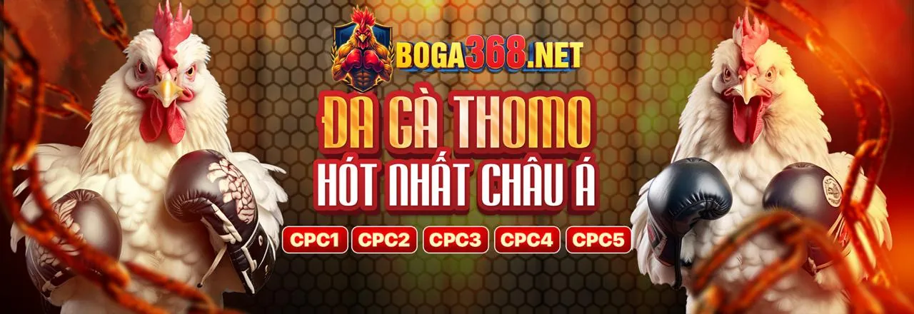 Đá Gà Trực Tuyến Hấp Dẫn tại pk345 chính thức